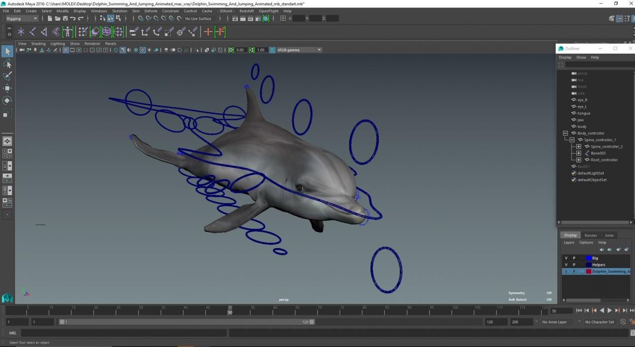 3D Dolphin Swimming And Jumping Animated for Maya