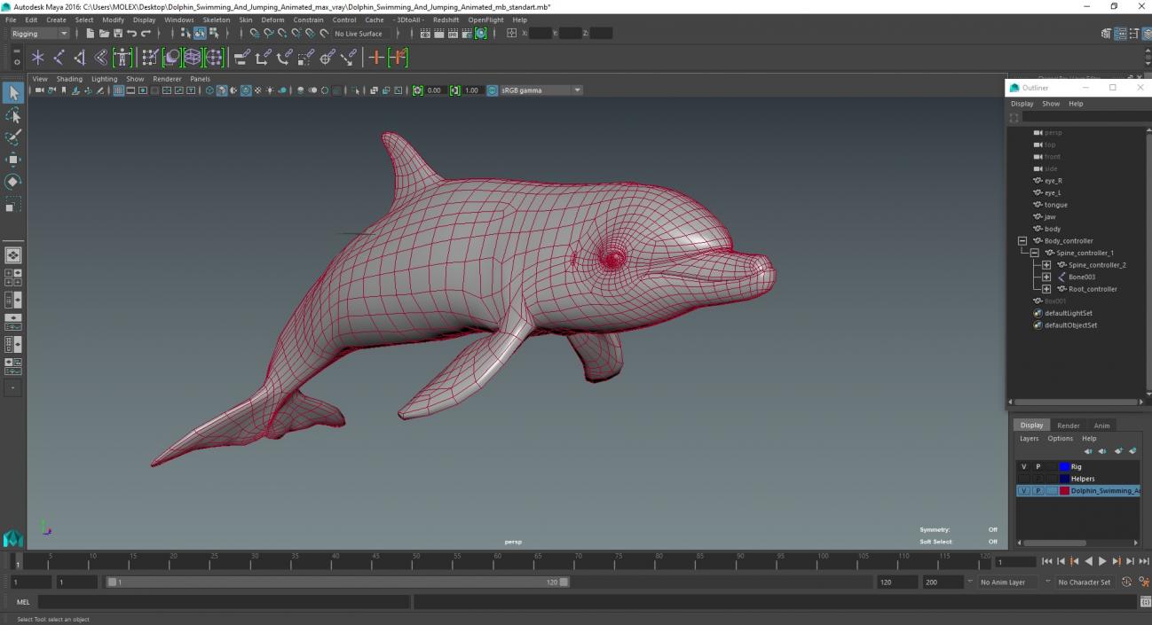 3D Dolphin Swimming And Jumping Animated for Maya