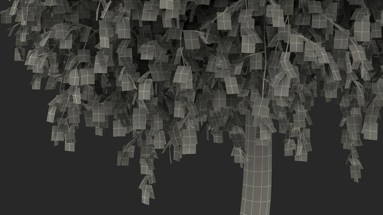 3D Small Birch Tree Yellow model