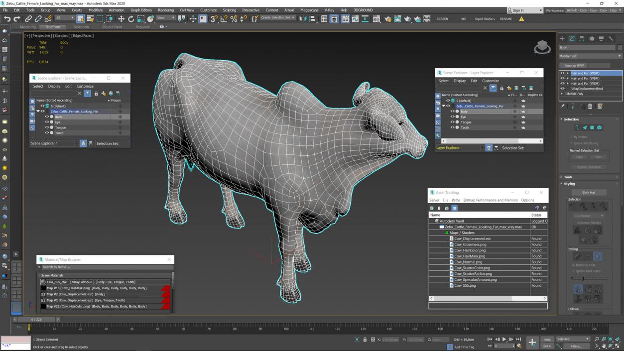 3D model Zebu Cattle Female Looking Fur