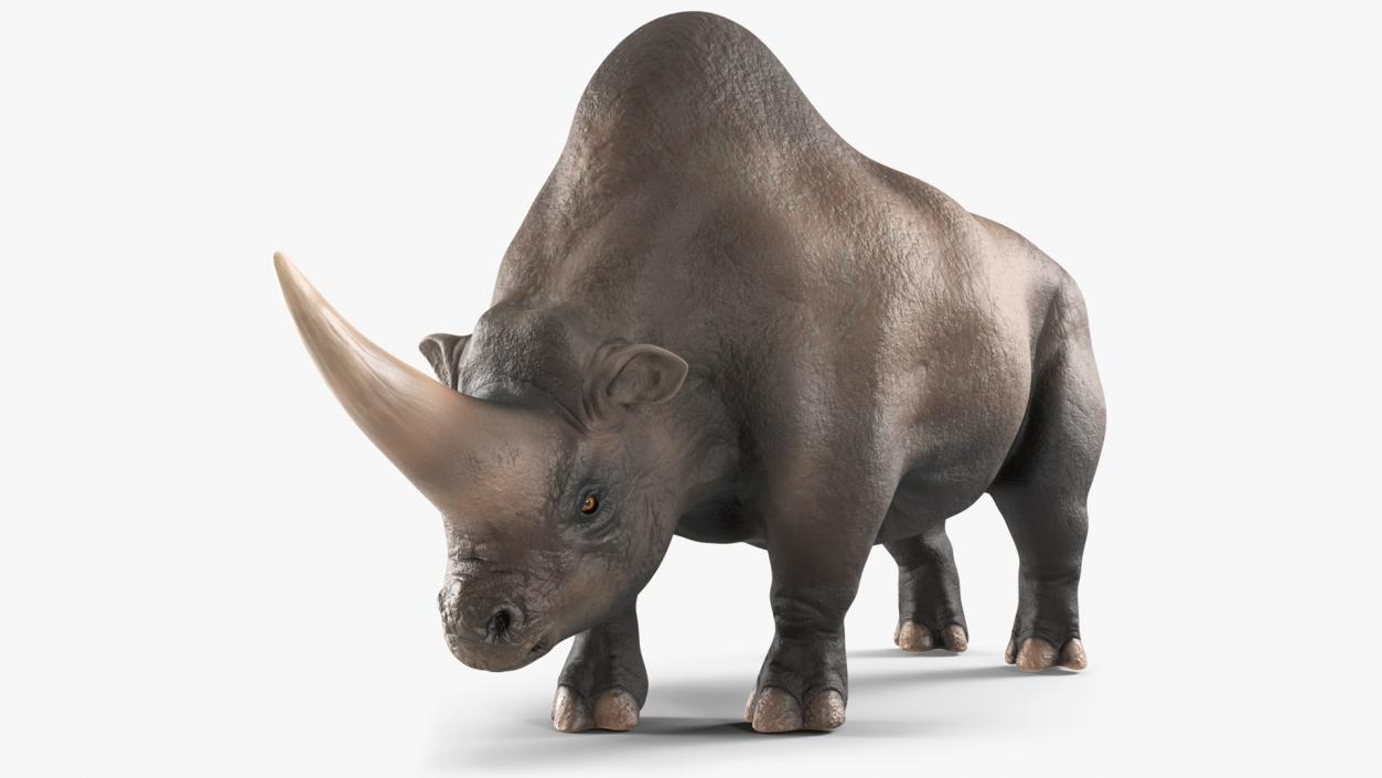 3D model Giant Rhinoceros Standing Pose