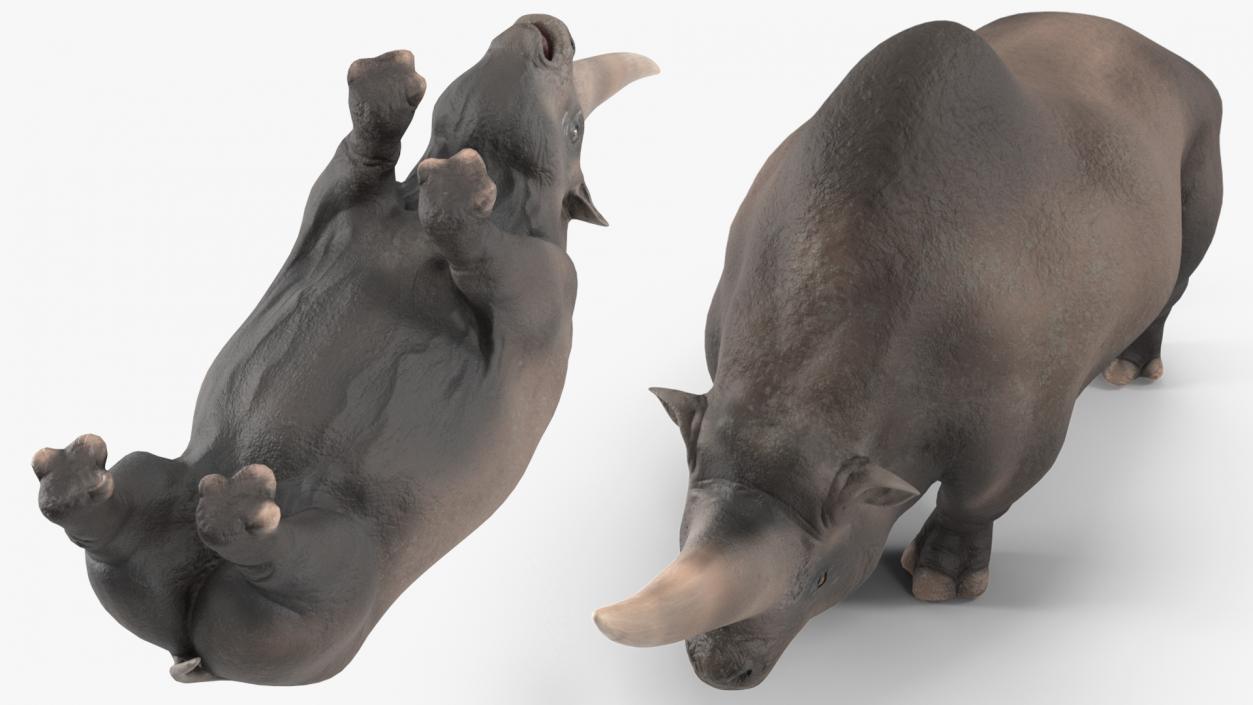 3D model Giant Rhinoceros Standing Pose