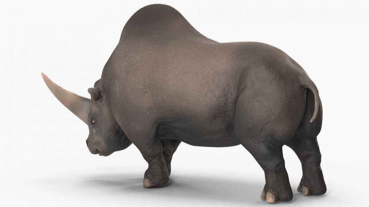 3D model Giant Rhinoceros Standing Pose