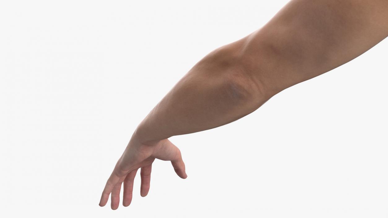 Athletic Male Arm 2 3D model