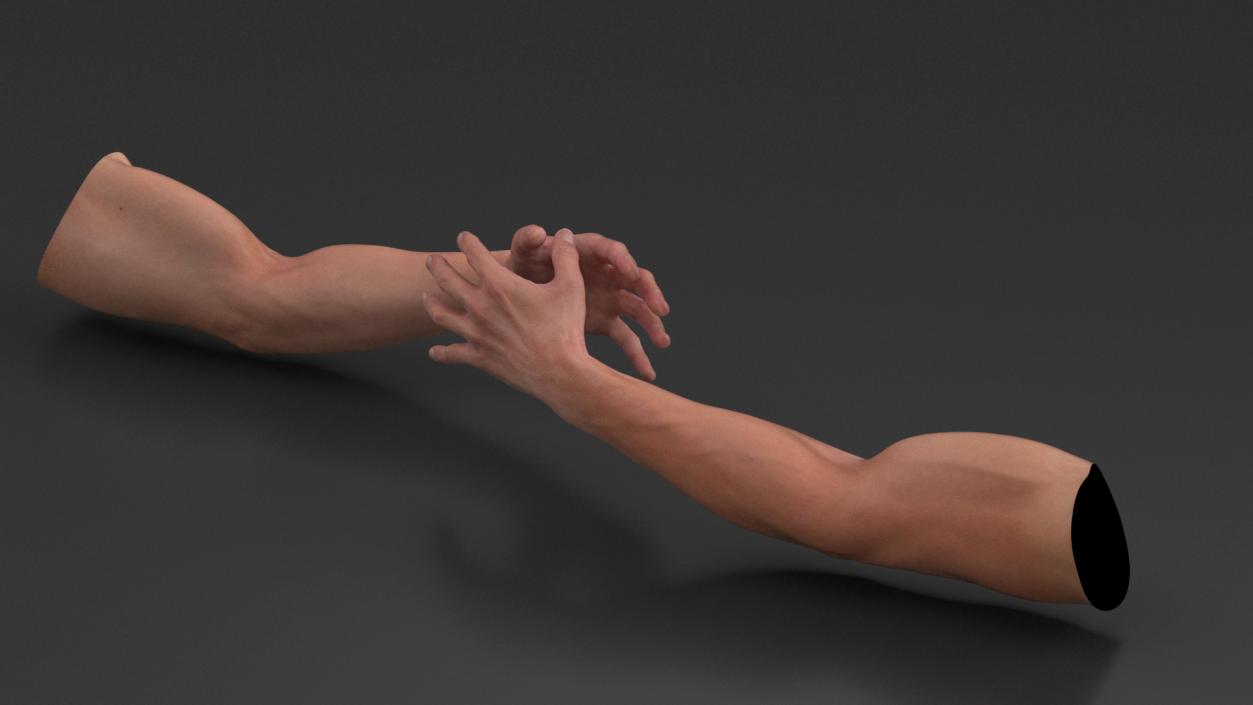 Athletic Male Arm 2 3D model