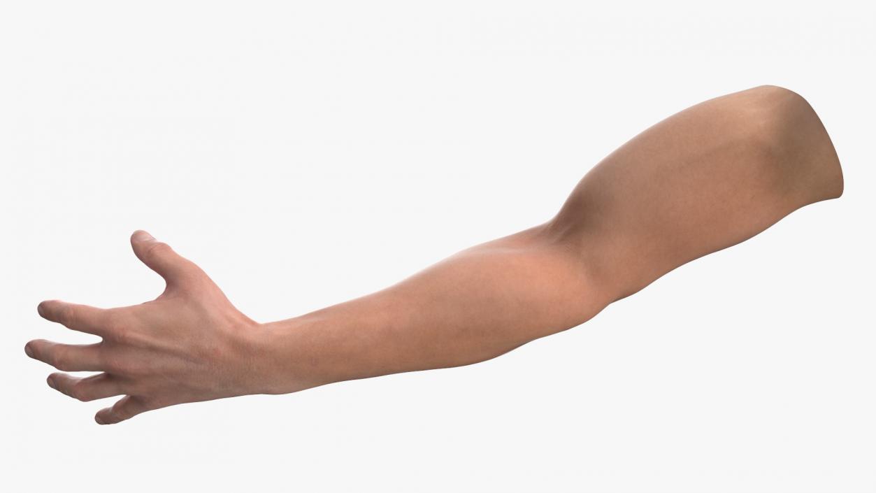 Athletic Male Arm 2 3D model