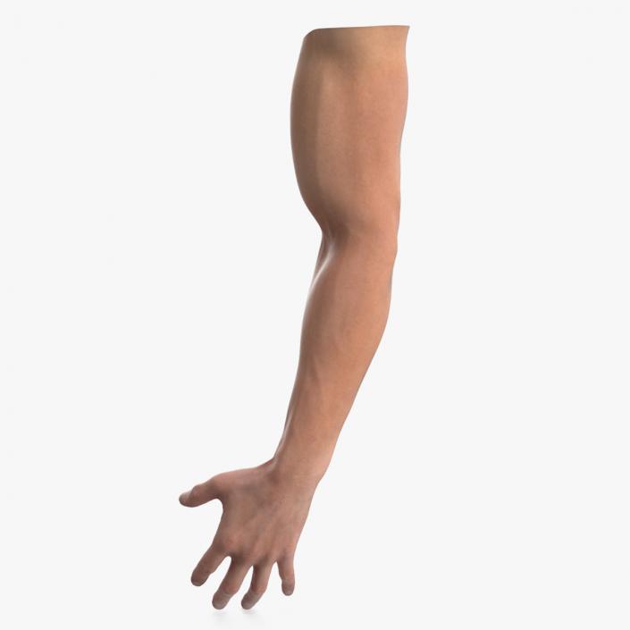 Athletic Male Arm 2 3D model