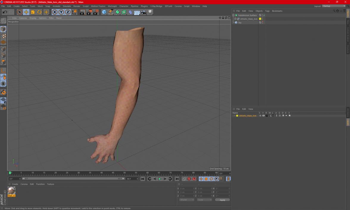 Athletic Male Arm 2 3D model