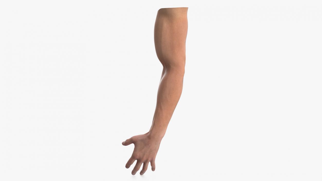 Athletic Male Arm 2 3D model