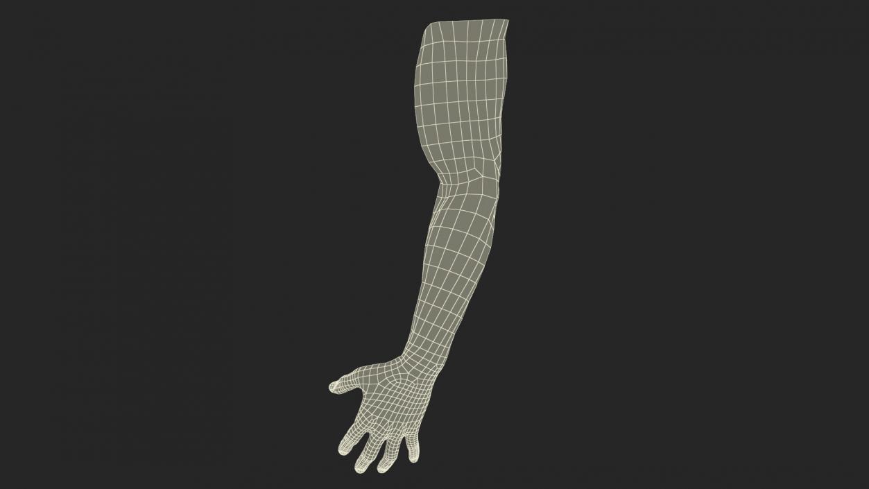 Athletic Male Arm 2 3D model