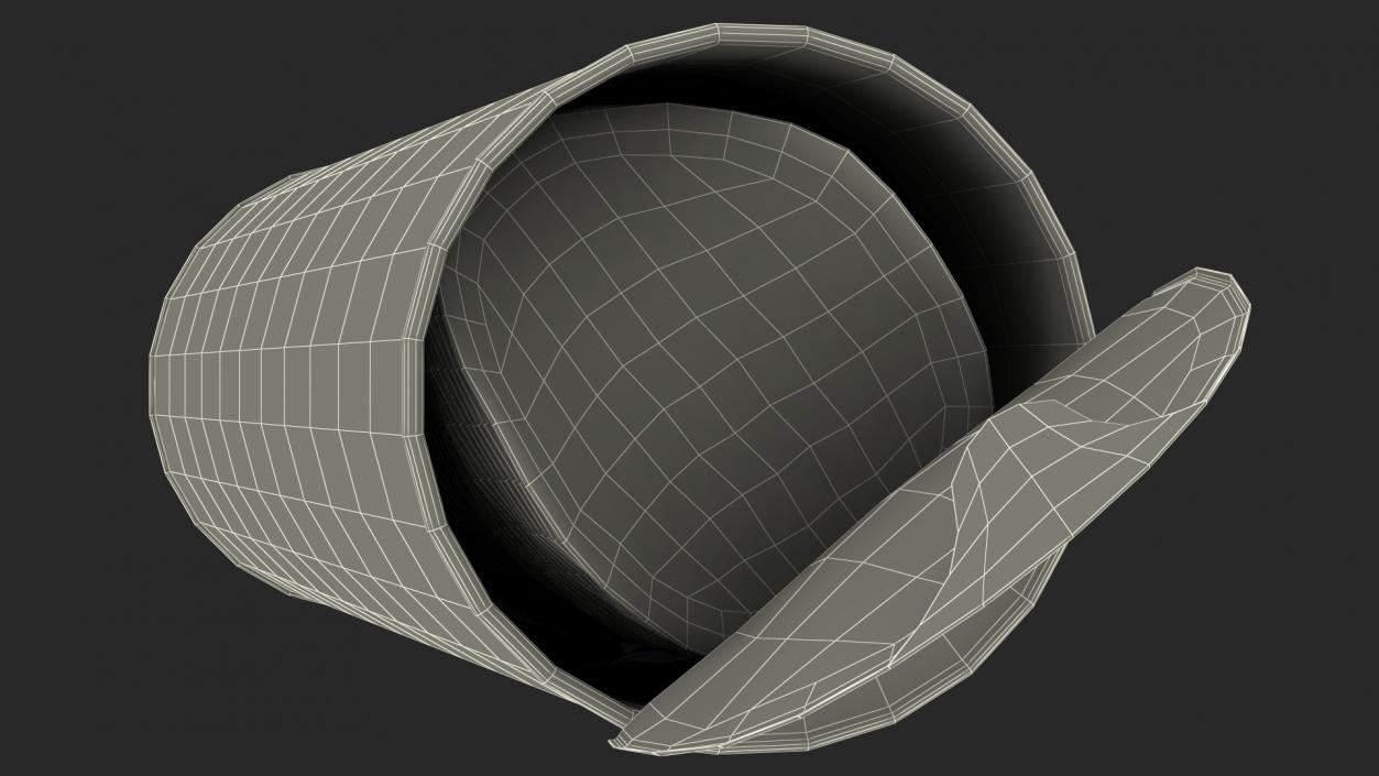 Opened Foil Tube with Potato Chips 3D model