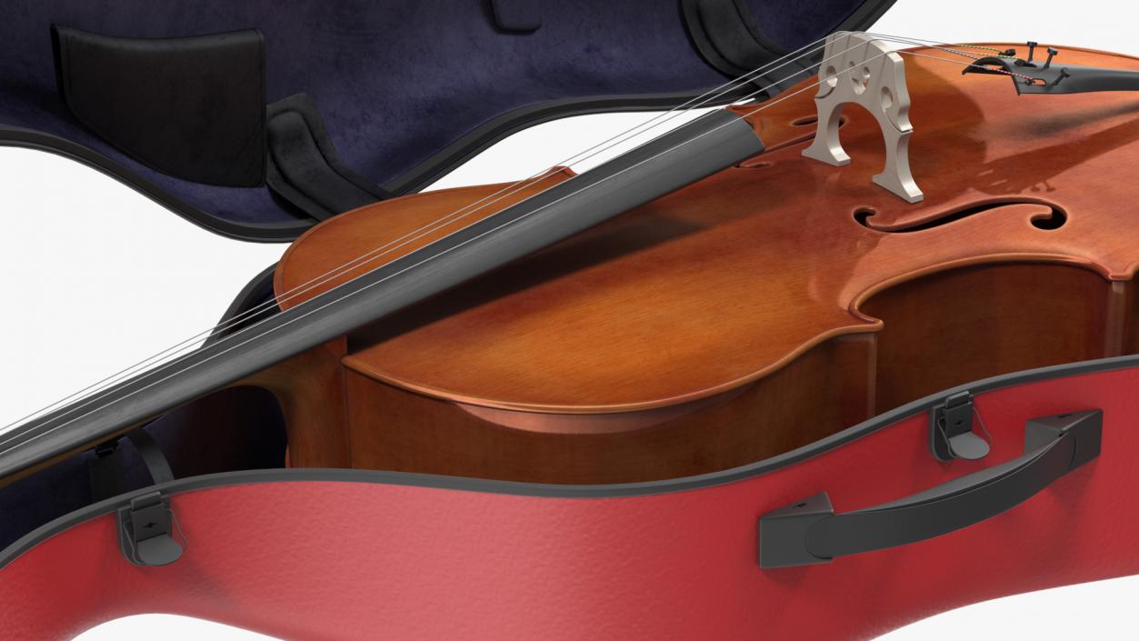 3D model Cello Red Shell Case