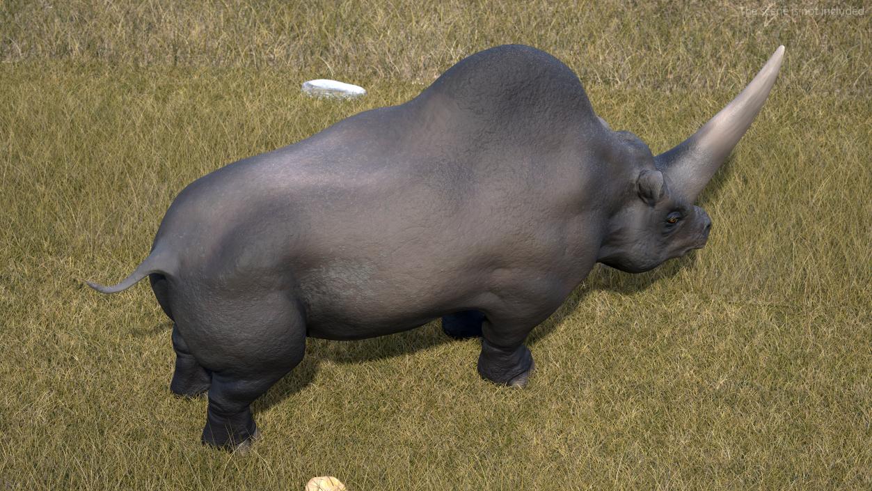 3D Elasmatherium Neutral Pose