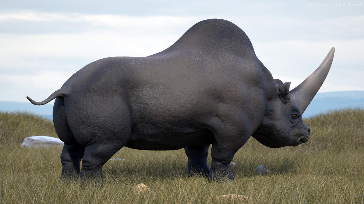 3D Elasmatherium Neutral Pose