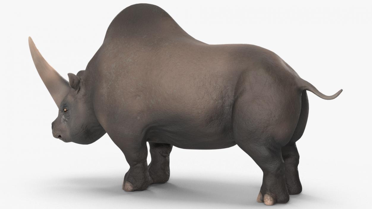 3D Elasmatherium Neutral Pose