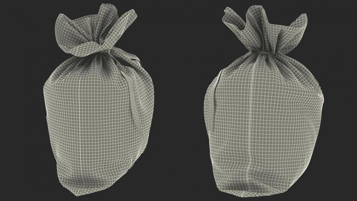 Money Bag Bitcoin 3D