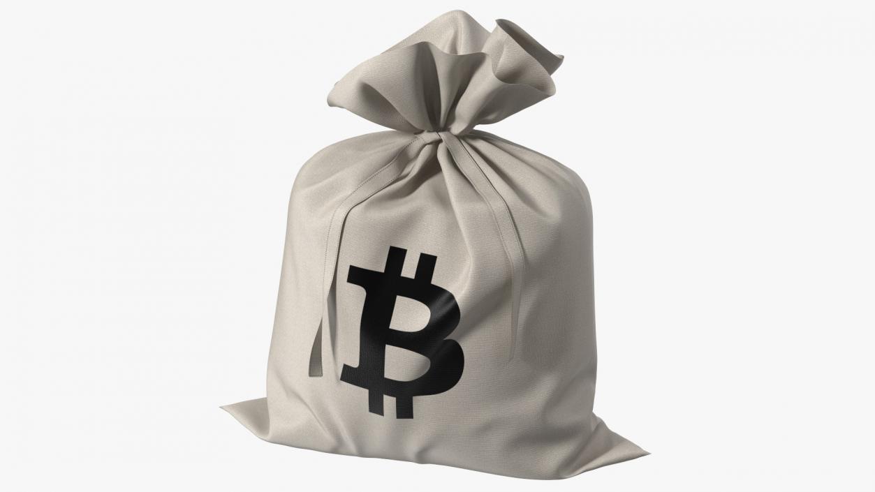 Money Bag Bitcoin 3D