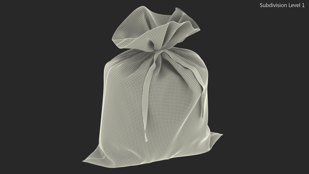 Money Bag Bitcoin 3D