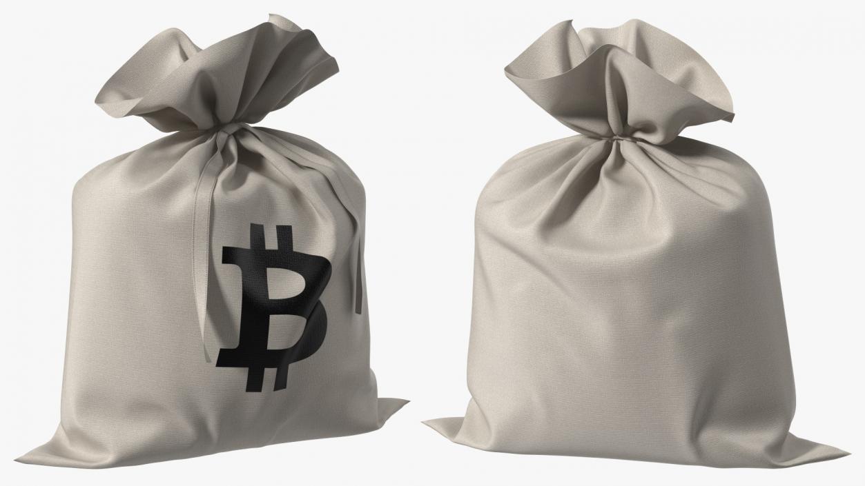 Money Bag Bitcoin 3D