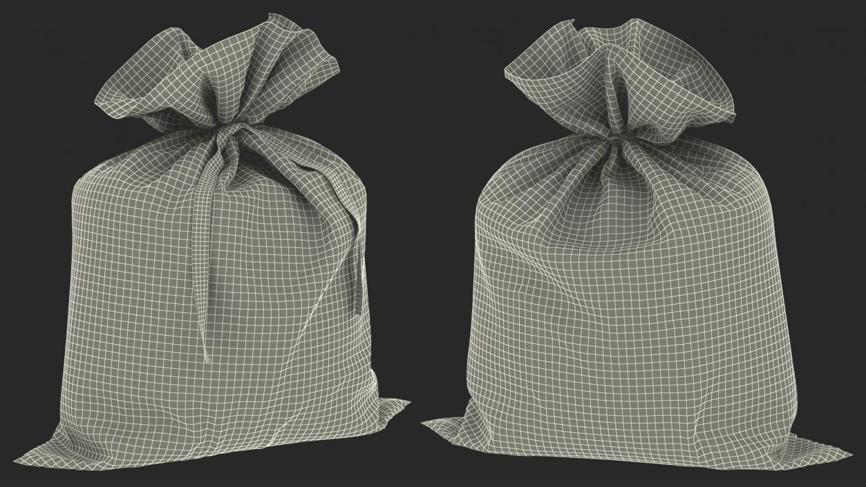 Money Bag Bitcoin 3D