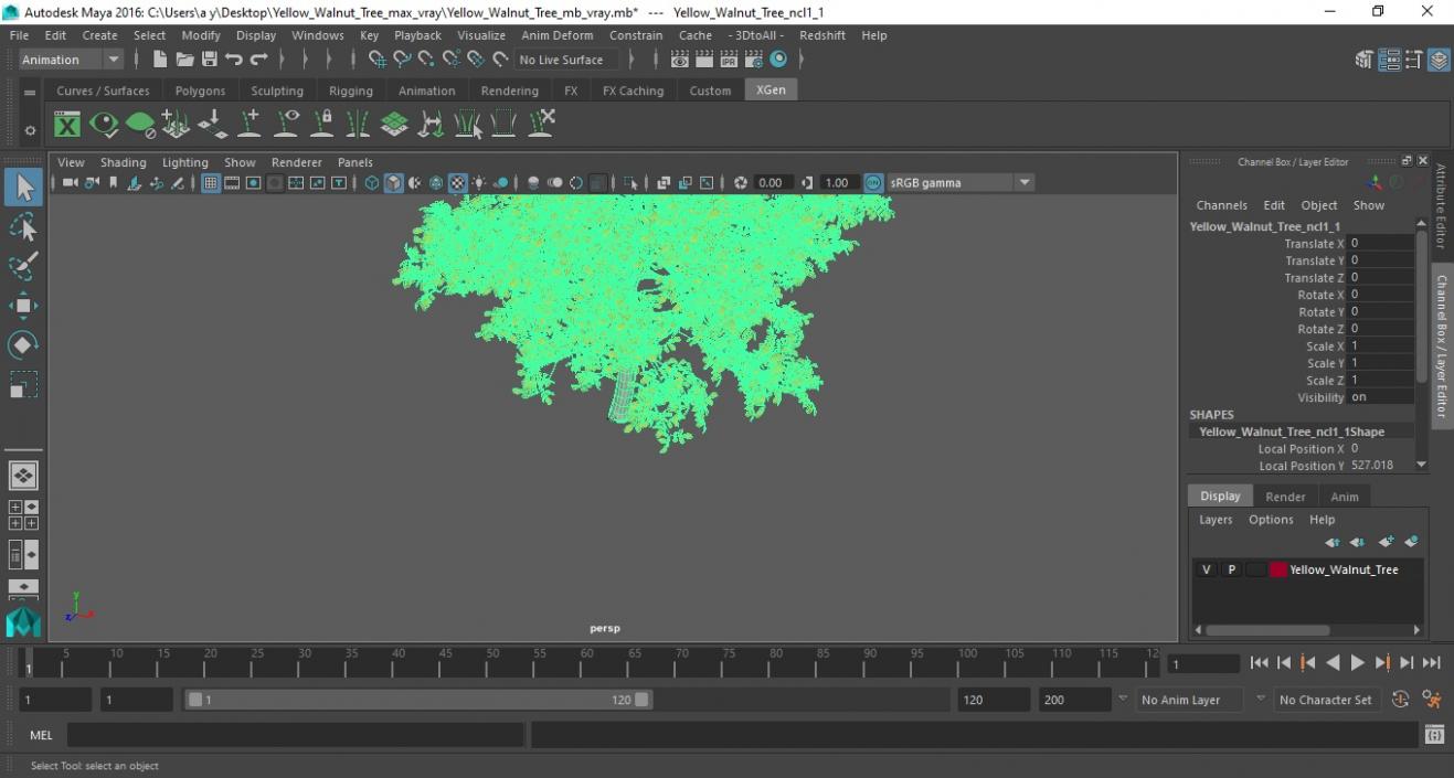 3D Yellow Walnut Tree model