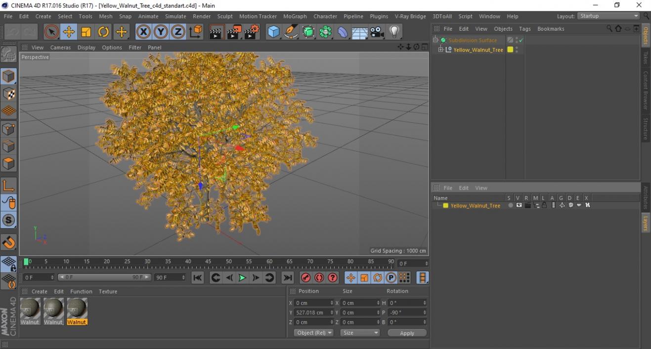 3D Yellow Walnut Tree model