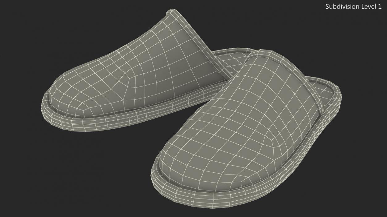 3D Home Slippers model