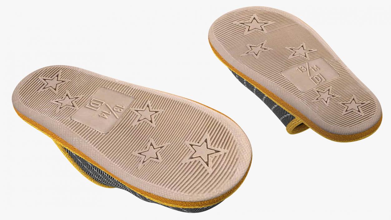 3D Home Slippers model