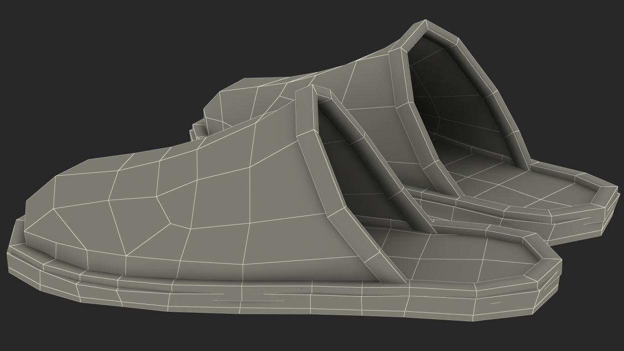 3D Home Slippers model