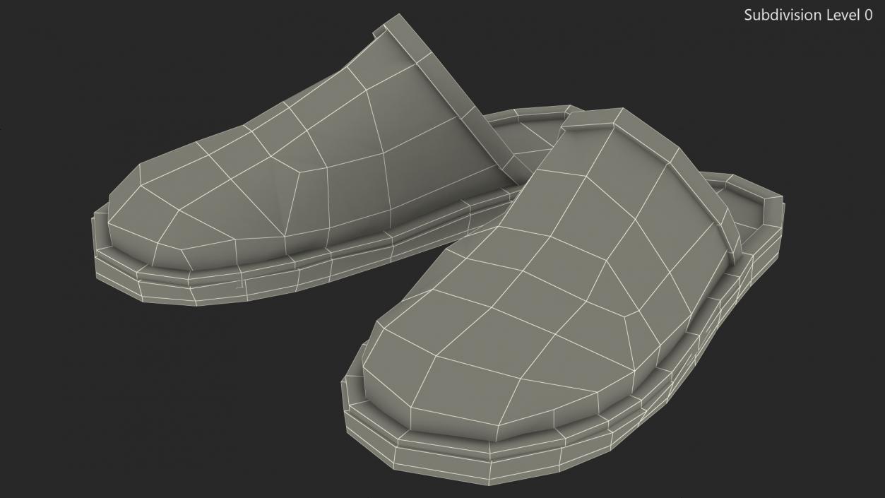 3D Home Slippers model