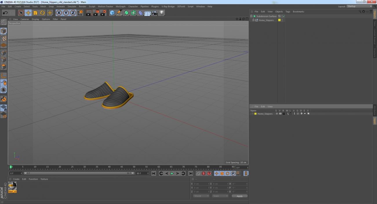 3D Home Slippers model