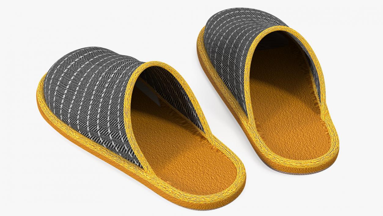 3D Home Slippers model