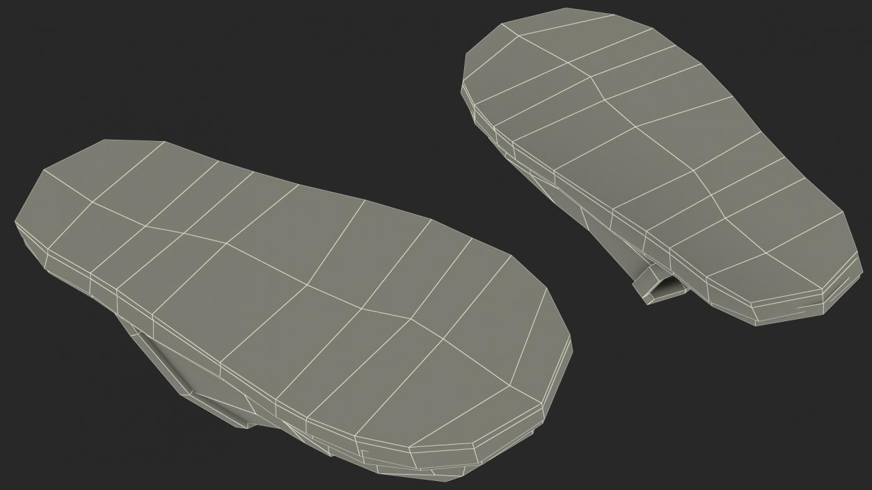 3D Home Slippers model