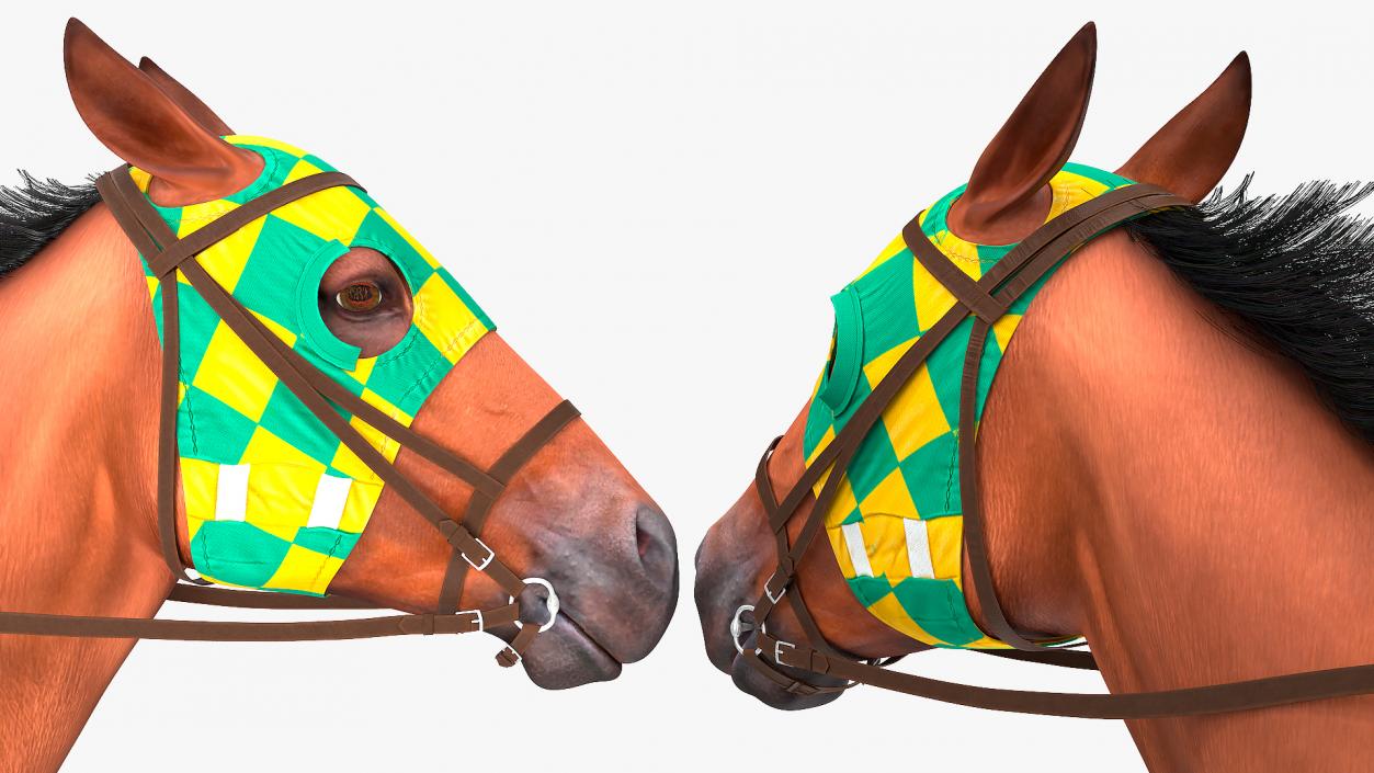 3D model Racehorse Gallop Pose Fur