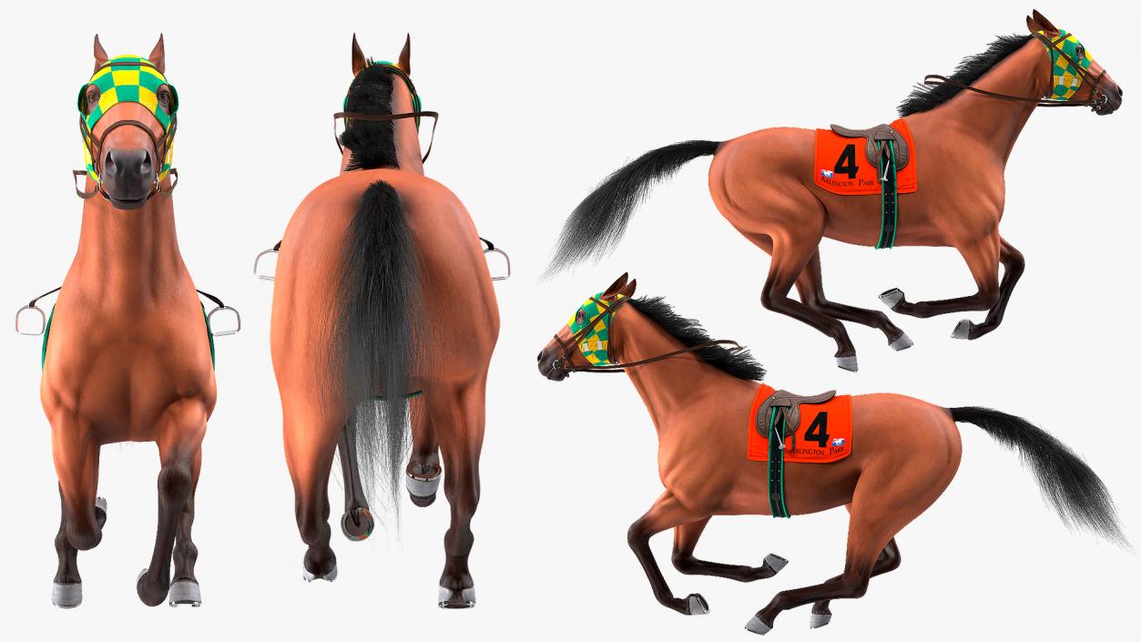 3D model Racehorse Gallop Pose Fur