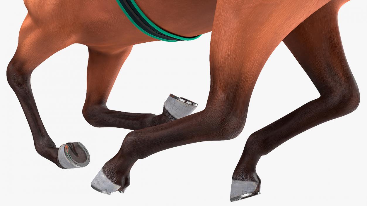 3D model Racehorse Gallop Pose Fur