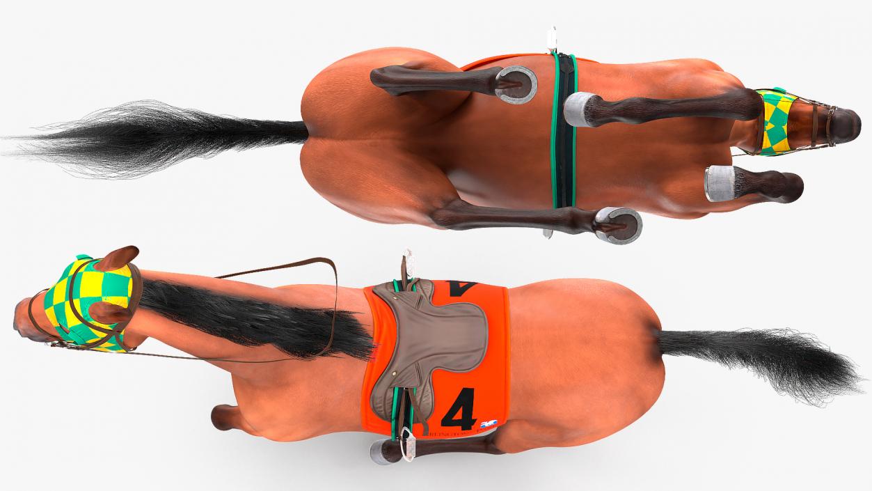 3D model Racehorse Gallop Pose Fur