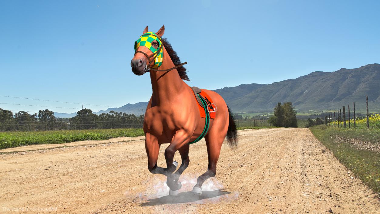 3D model Racehorse Gallop Pose Fur