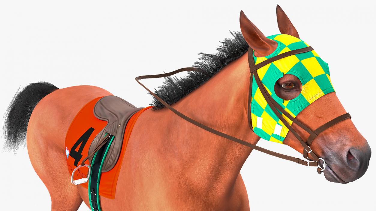 3D model Racehorse Gallop Pose Fur