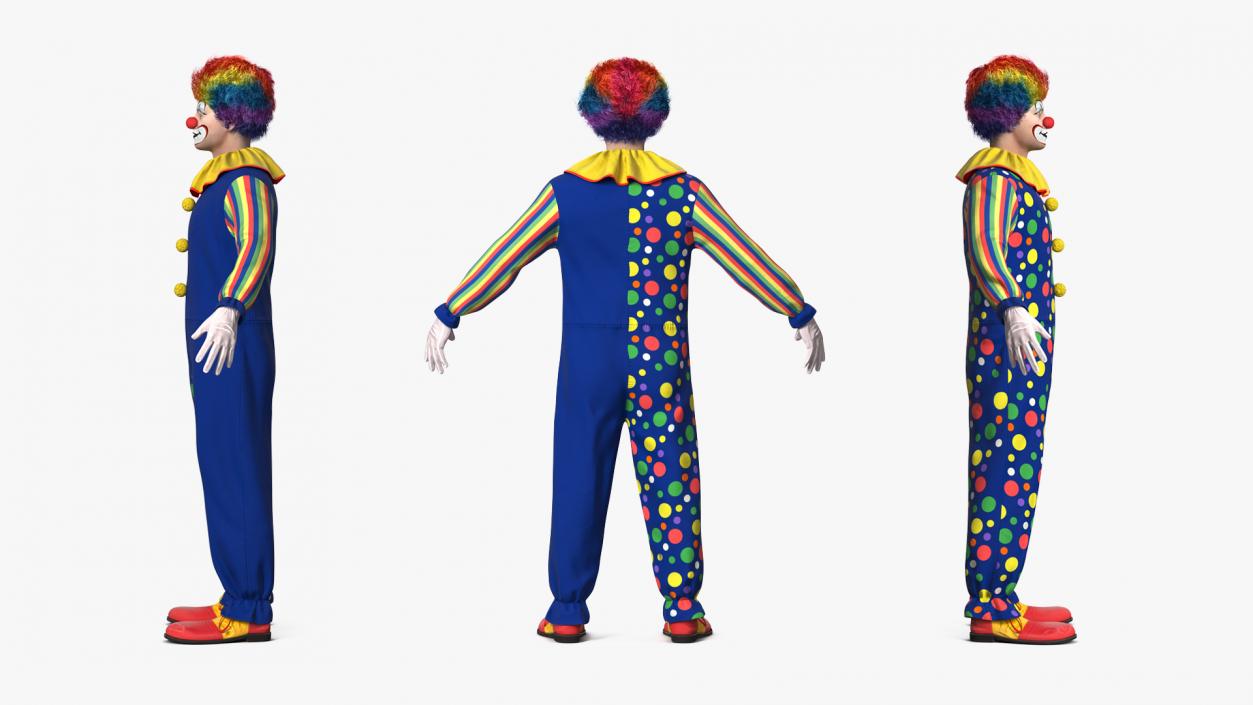 3D model Funny Clown Costume Rigged Fur