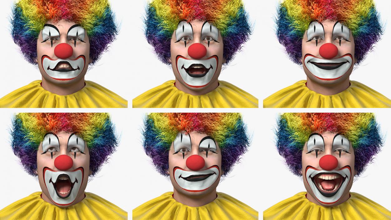 3D model Funny Clown Costume Rigged Fur