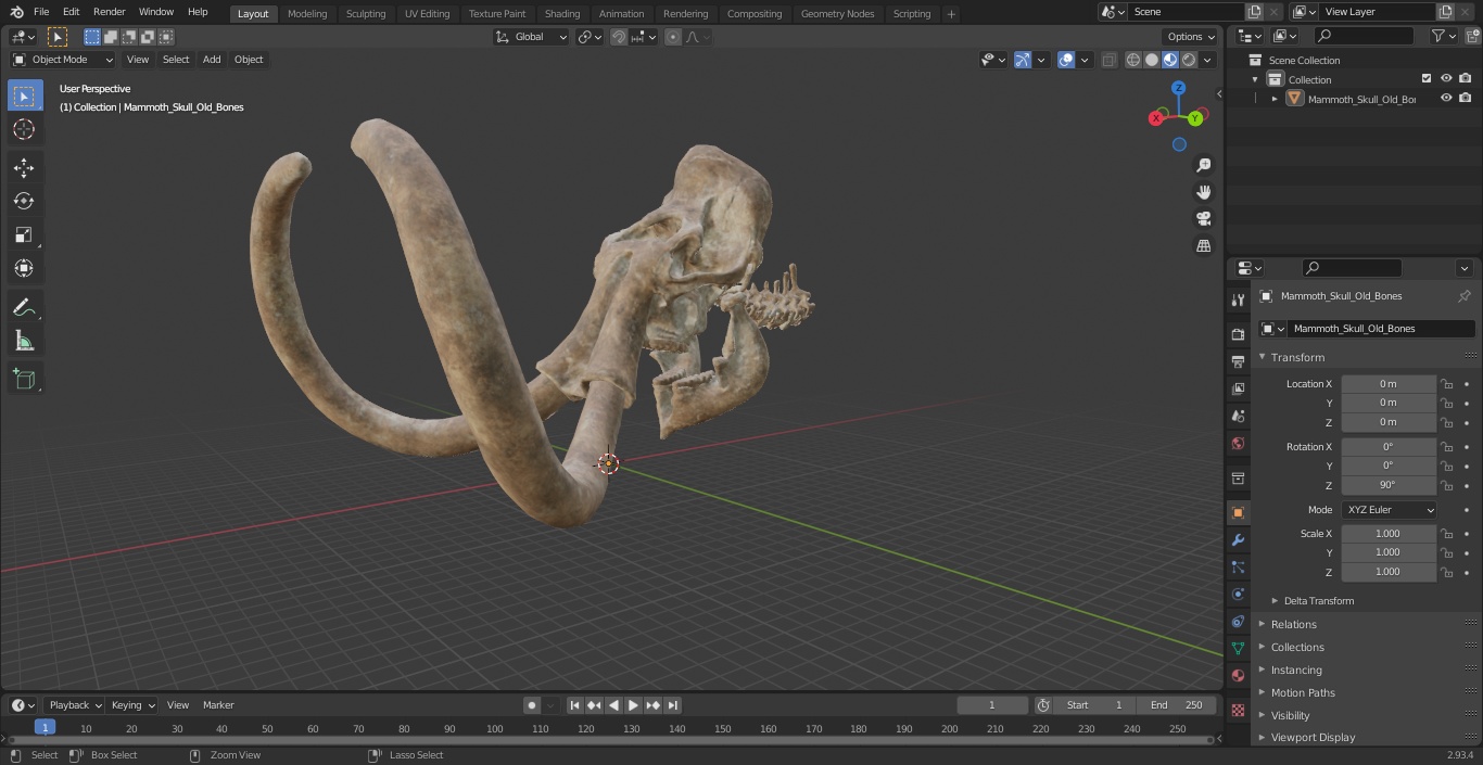 3D Mammoth Skull Old Bones model