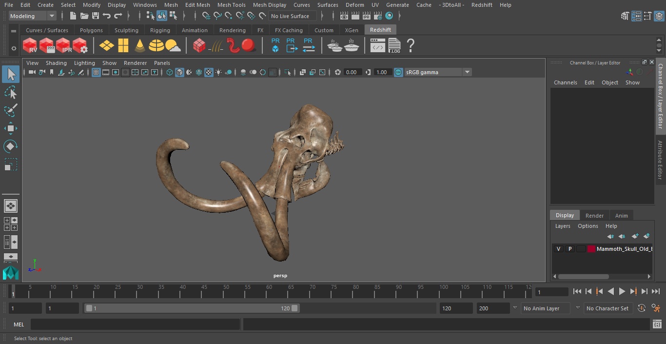 3D Mammoth Skull Old Bones model