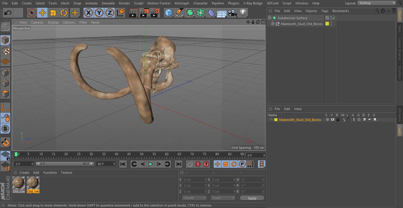 3D Mammoth Skull Old Bones model