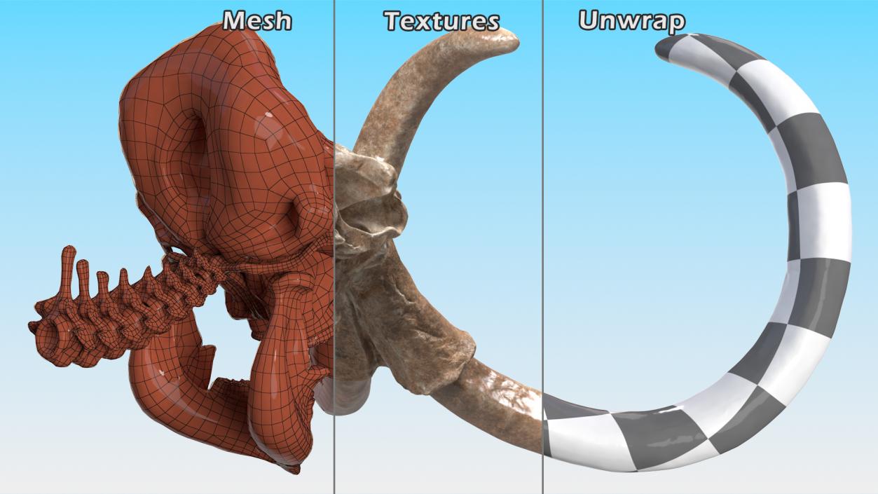 3D Mammoth Skull Old Bones model