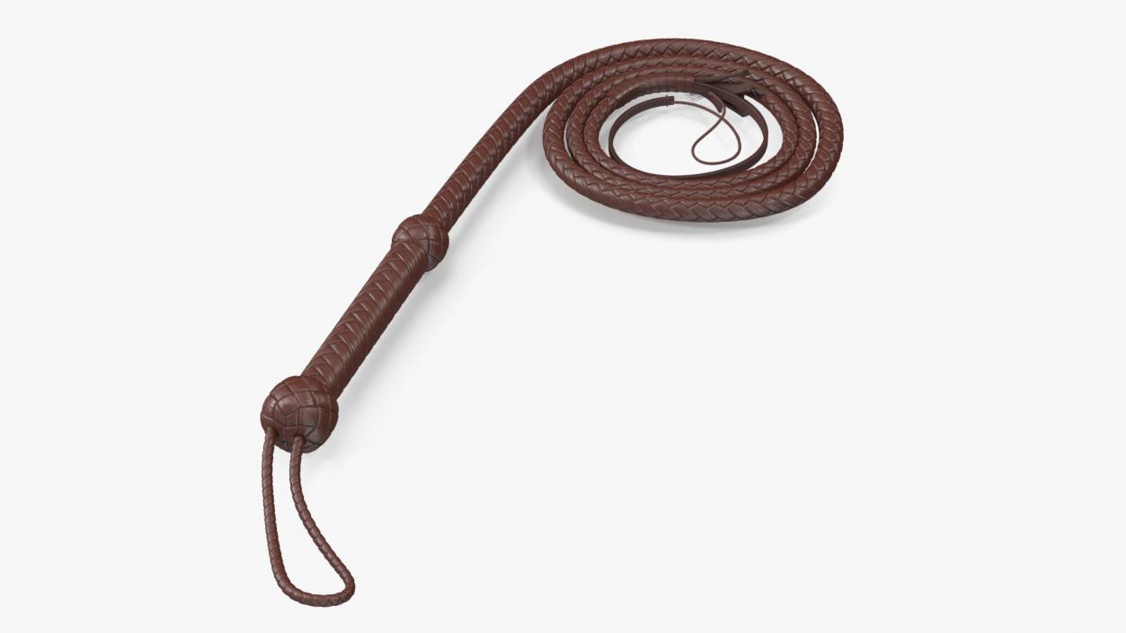 Brown Cowboy Whip Curved 3D model