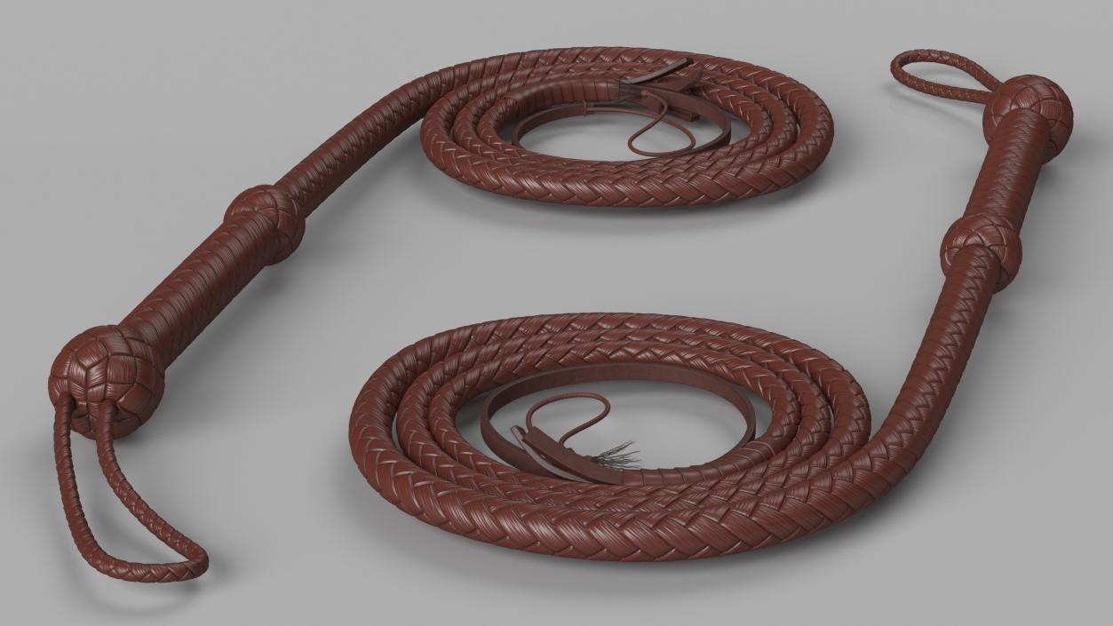 Brown Cowboy Whip Curved 3D model