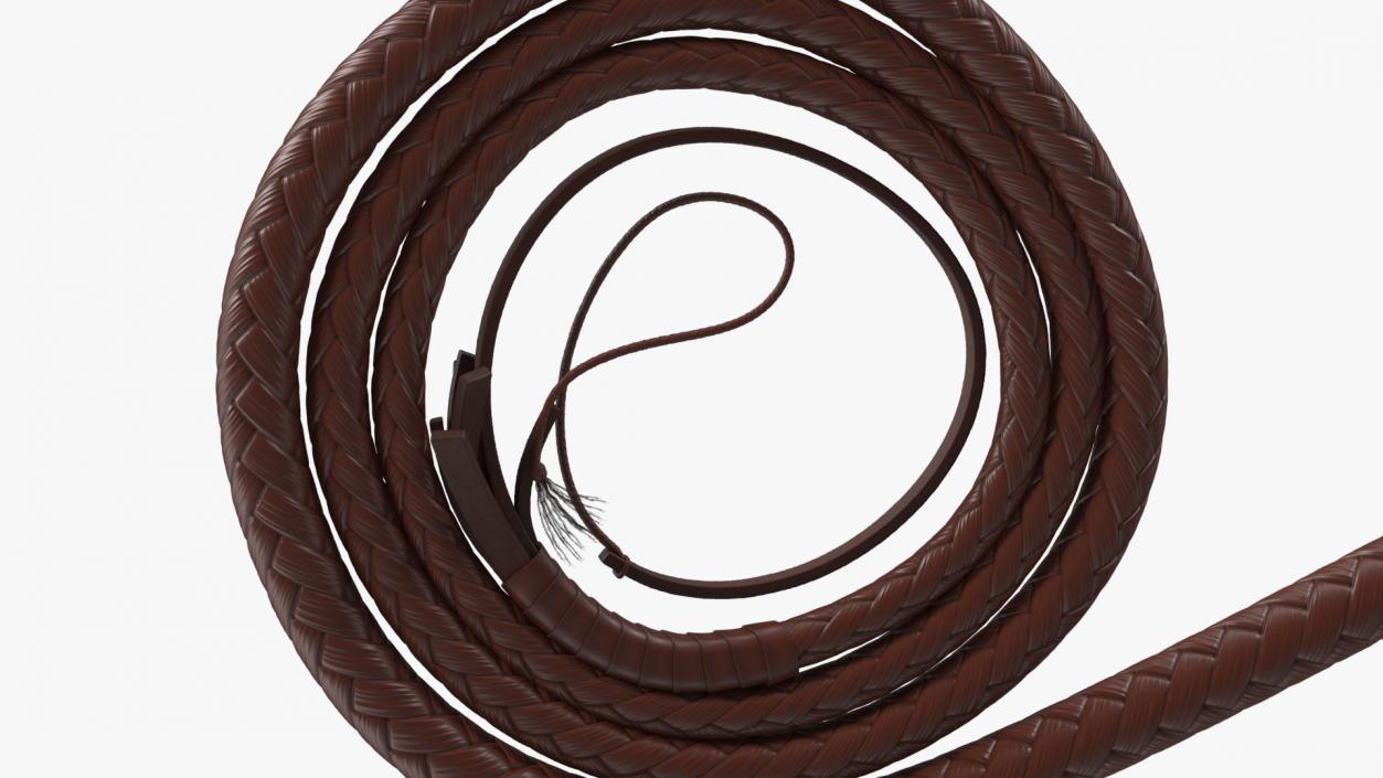 Brown Cowboy Whip Curved 3D model