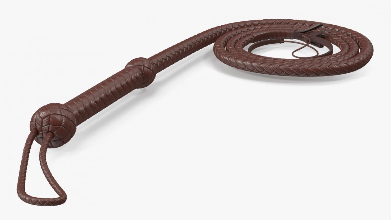 Brown Cowboy Whip Curved 3D model