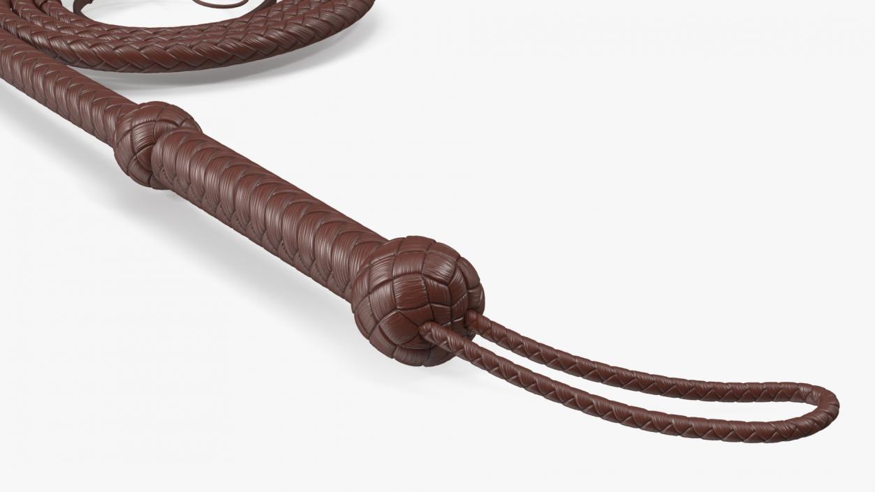 Brown Cowboy Whip Curved 3D model